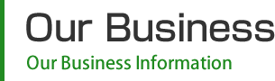 Our Business Information